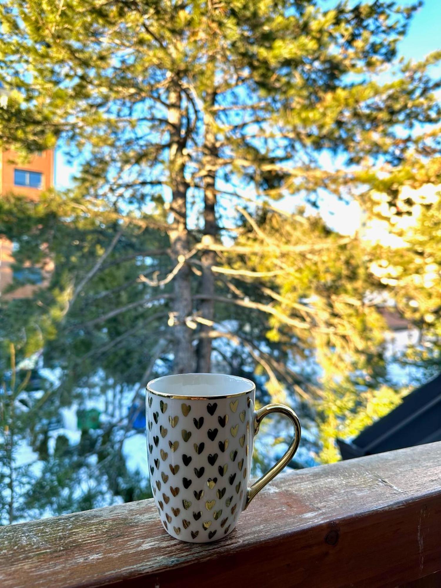 Dharma Zlatibor
