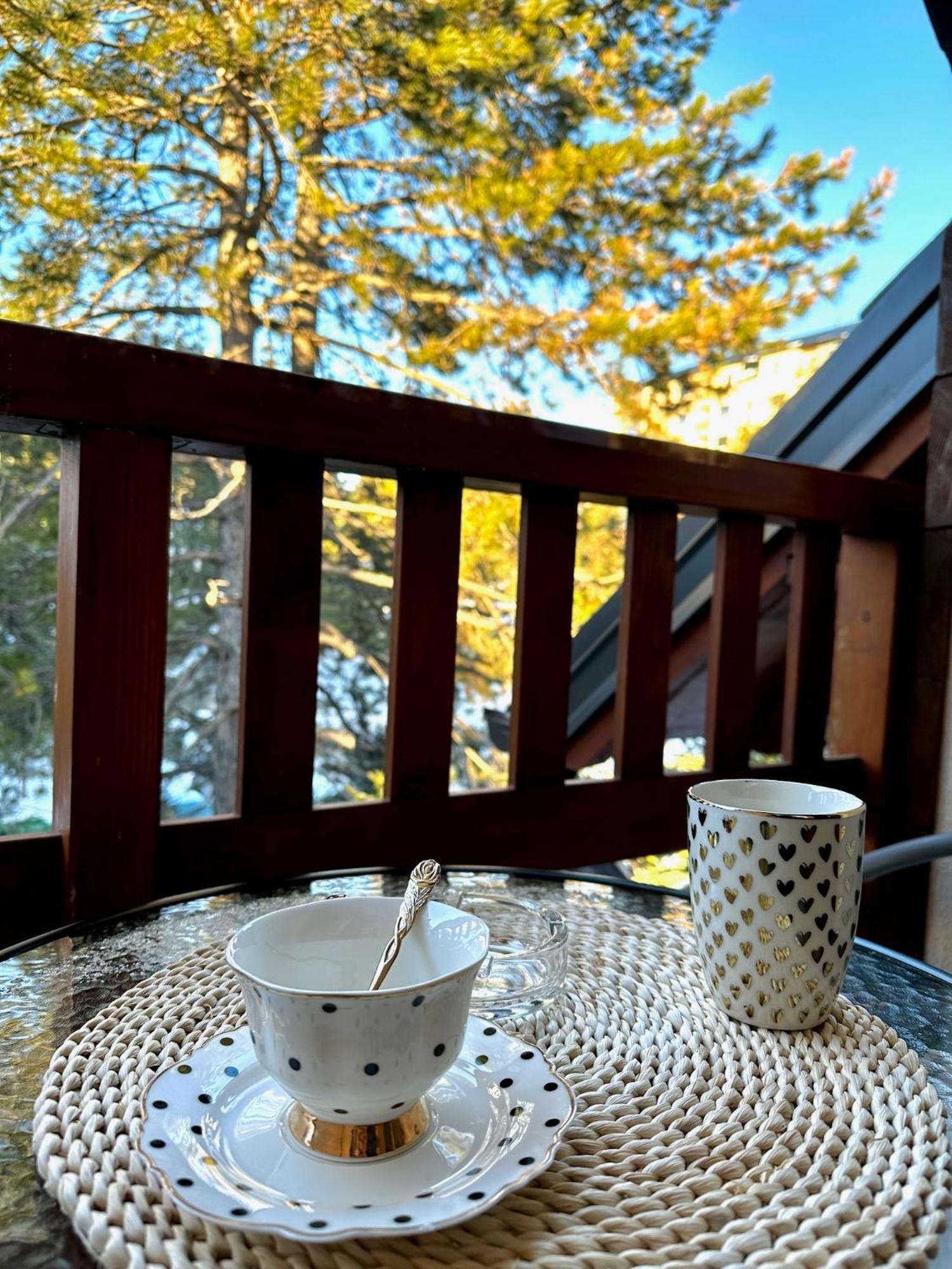 Dharma Apartment Zlatibor